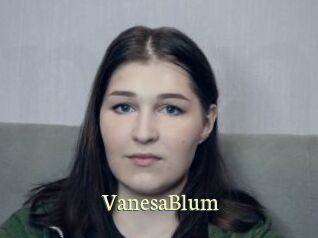 VanesaBlum Porn str8