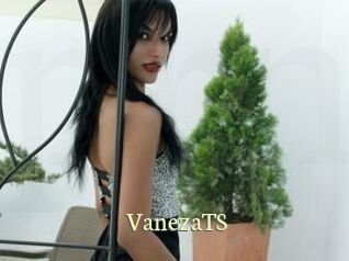 VanezaTS Porn str8