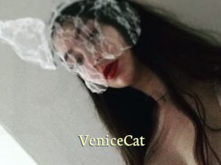 VeniceCat
