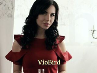 VioBird Porn str8