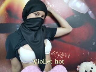 Viollet_hot