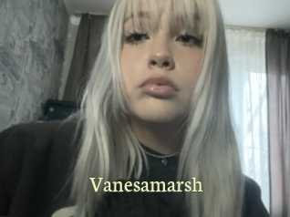 vanesamarsh Porn str8