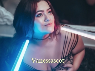 vanessascot Porn str8