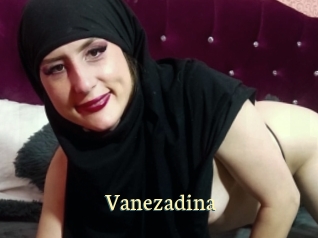 Vanezadina