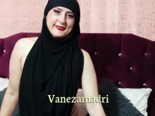 Vanezamadri