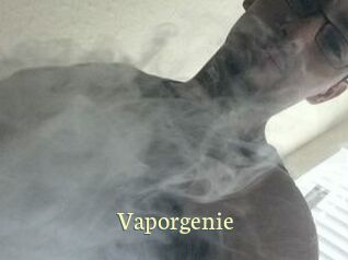 Vapor_genie