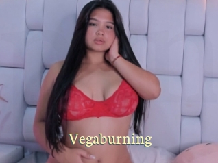 Vegaburning