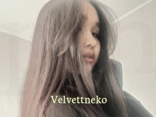 Velvettneko