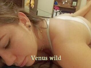 Venus_wild