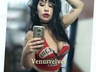 Venusvelvet