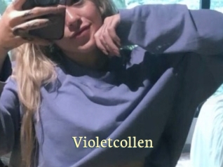 Violetcollen