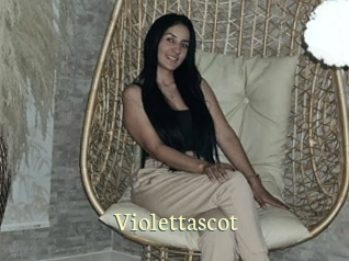 Violettascot
