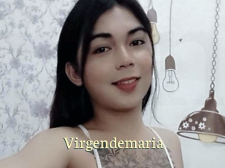 virgendemaria Porn str8