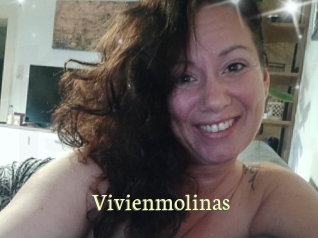 Vivienmolinas