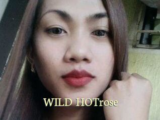 WILD_HOTrose