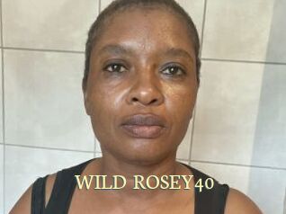 WILD_ROSEY40