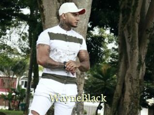 WayneBlack