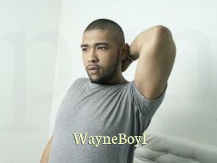 WayneBoyI