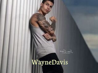 WayneDavis