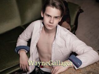 WayneGallager