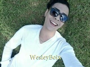 Wesley_Boix