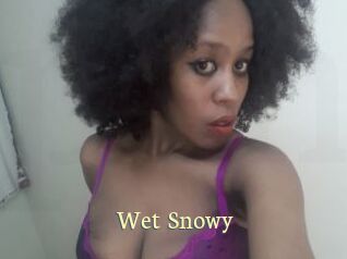 Wet_Snowy