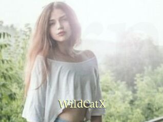 Wild_CatX