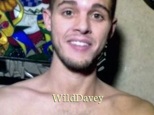 WildDavey