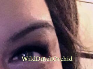 WildDutchOrchid