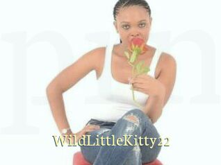 WildLittleKitty22