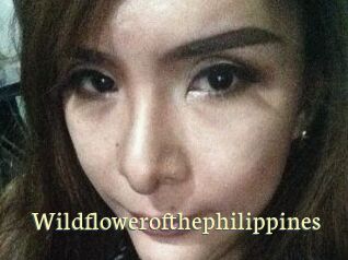 Wildflowerofthephilippines