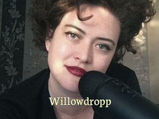 Willowdropp