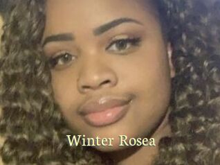 Winter_Rosea