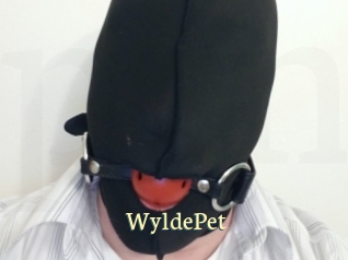WyldePet Porn str8