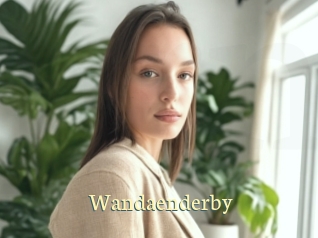 Wandaenderby