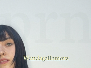 Wandagallamore
