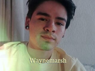 Waynemarsh