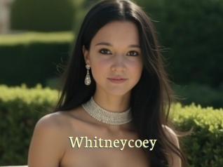 whitneycoey Porn str8