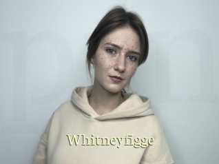 Whitneyfigge