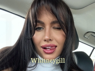 Whitneygill