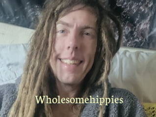 wholesomehippies Porn str8