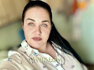 Wilddaisy