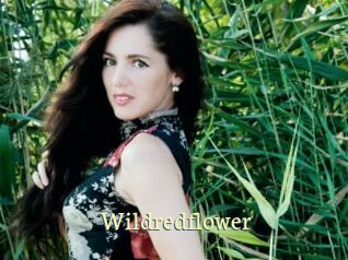 Wildredflower