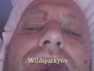 Wildsparky69