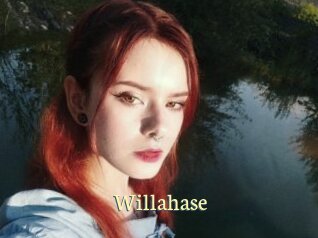 Willahase