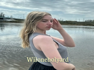 Wilonebolyard