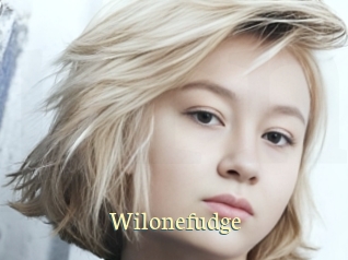 Wilonefudge