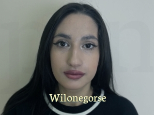 Wilonegorse