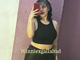 Winniexgallahad