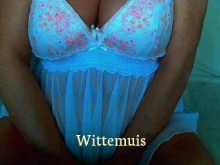 Wittemuis